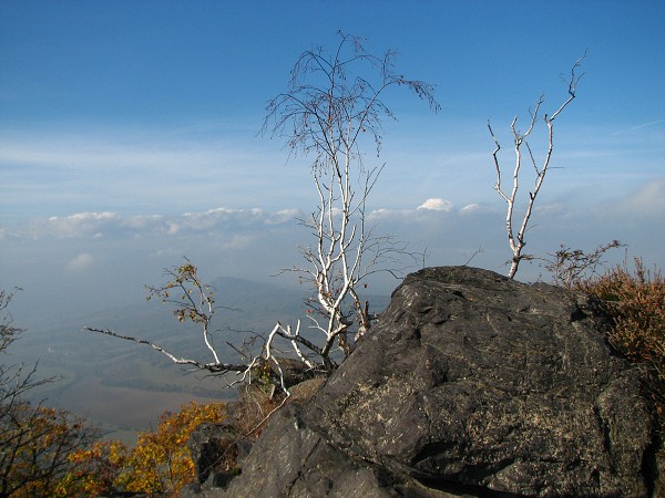 ESK STEDOHO - BOE 539 M